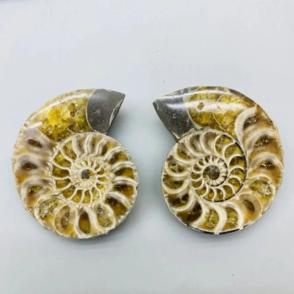 Fatia de Cristal Natural – Quartzo Mineral para Cura, Feng Shui, Colar DIY, Decoração Espiritual e Coleção