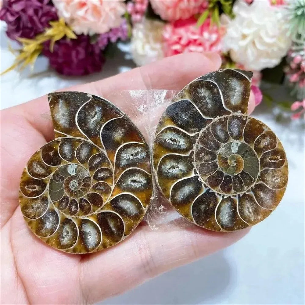 Fatia de Cristal Natural – Quartzo Mineral para Cura, Feng Shui, Colar DIY, Decoração Espiritual e Coleção